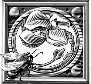 Miele-Fleury Graphics