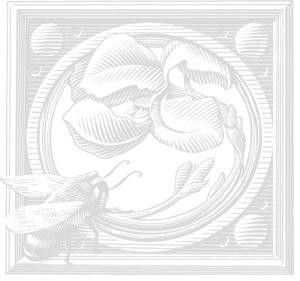 Miele-Fleury Graphics