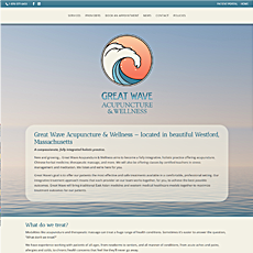 Great Wave Acupuncture & Wellness